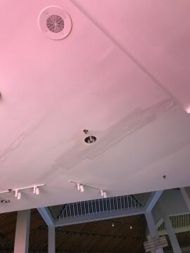 Ceiling Plaster Repair